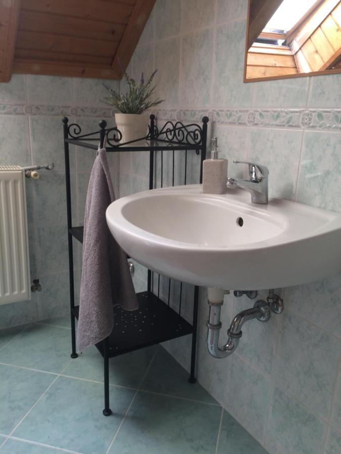 Cosy Rooms On The Lake Near Budapest And The Airport Isaszeg Екстер'єр фото