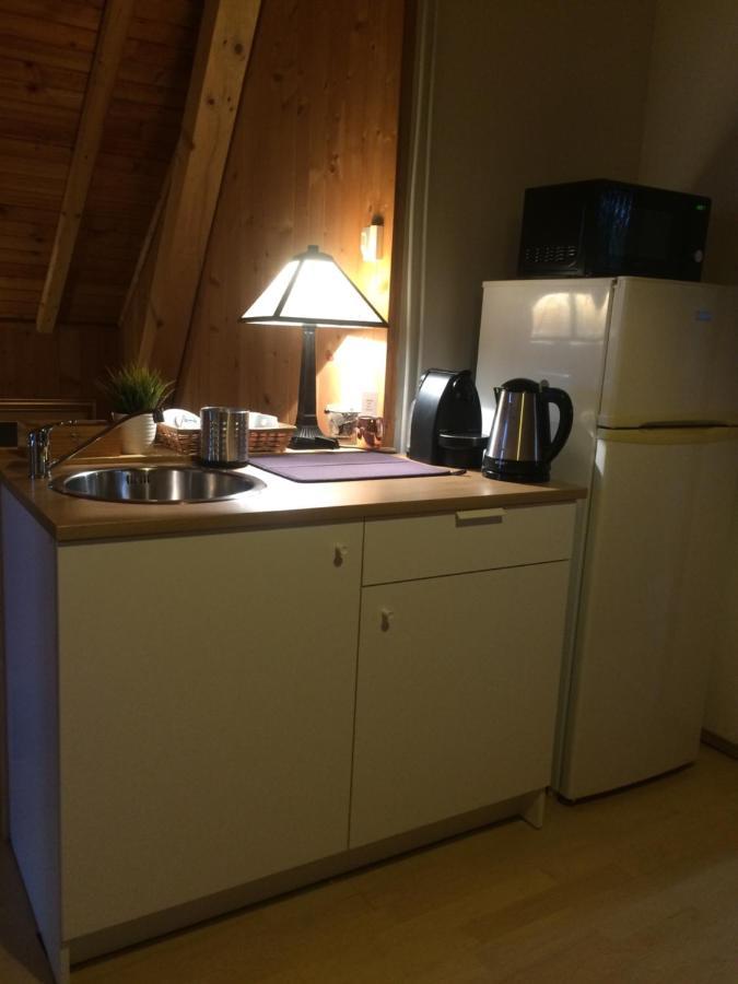 Cosy Rooms On The Lake Near Budapest And The Airport Isaszeg Екстер'єр фото